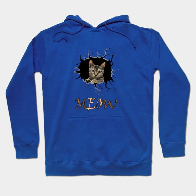 The feisty cat Hoodie by ImanElsaidy